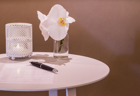 THE TELEWORKING GUIDE