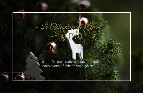 The Advent calendar by PVG