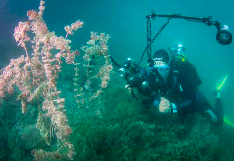 LE BONHEUR LA TETE SOUS L'EAU